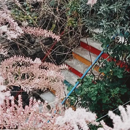 Ruelles Et Terrasses *
